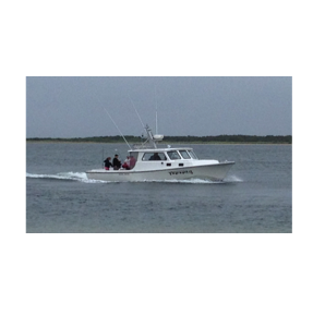 charter fishing & boat rentals