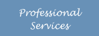 Professional Services