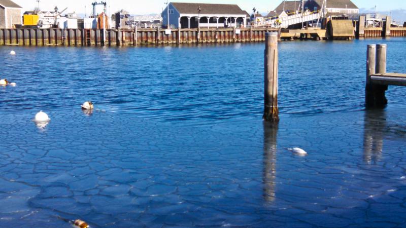 Icy Nantucket Harbor